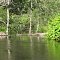 Maurice River Log