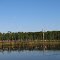 Maurice River at Superfund Site