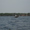 Blue Heron over Union Lake