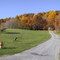 Fall in Victor, NY