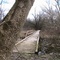 Wood walkway in Perinton