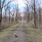Upper Trolly Trail