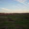 Piney Woods East