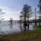 Near NC 94 North of Lake Mattamuskeet