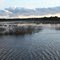 Marshland near lake Mattamuskeet