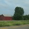 Red barn and a tree
