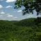 Mohican State Forest