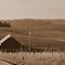 Farm