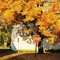Loudonville Ohio Fall