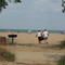 Mentor Headlands