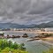 VIVEIRO...Cobas HDR