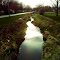 Salt Creek - Farmer City, IL