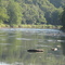 West Branch below Clearfield Creek