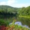 West Branch Susquehanna River