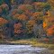 Susquehanna River Camp