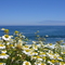 Costa de Rinlo