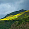 Montaña en Arties