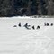 ICE FISHING