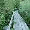small wooden path