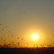 04 Sunset 02 04-Aug-07