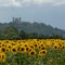 route de Laon