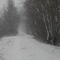 canal du nord sous la neige (2)