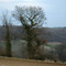 View to the military cemetery Vauxaillon