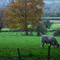 Paysage pres de La Belliere
