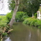ruisseau à francheville