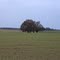 Campagne boussoise