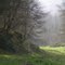 Le vallon du Herbion