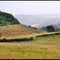 Suisse Normande