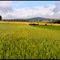 Suisse normande