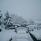 Neige à Acqueville - Février 2004
