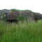 Ravin des Crusnes casemate