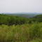View of Nelson Co from Buckingham