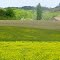 Champs et paysage en approchant Cagnotte (Landes)