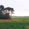 Sur la route