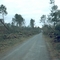 Arcachon, Aquitania, Francia, Dic. 1999, post tornado