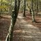 Le chemin des amoureux