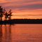 Orange Evening