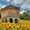 Le pigeonnier de la Borie, Odars (Haute Garonne, 31) - Prix Mention honorable Juillet 2009 -