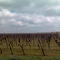 sur la route de Cognac