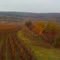 French field of dreams