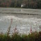 Burbee Pond