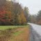 reedville-2011a.jpg
