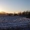 cold morning
