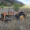 Tracteur Fordson Power Major et charrue.