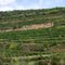 Marcillac - vallee du Cruou