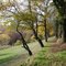 Automne